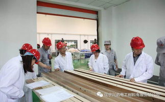 兴启电工 努力实现高质量发展